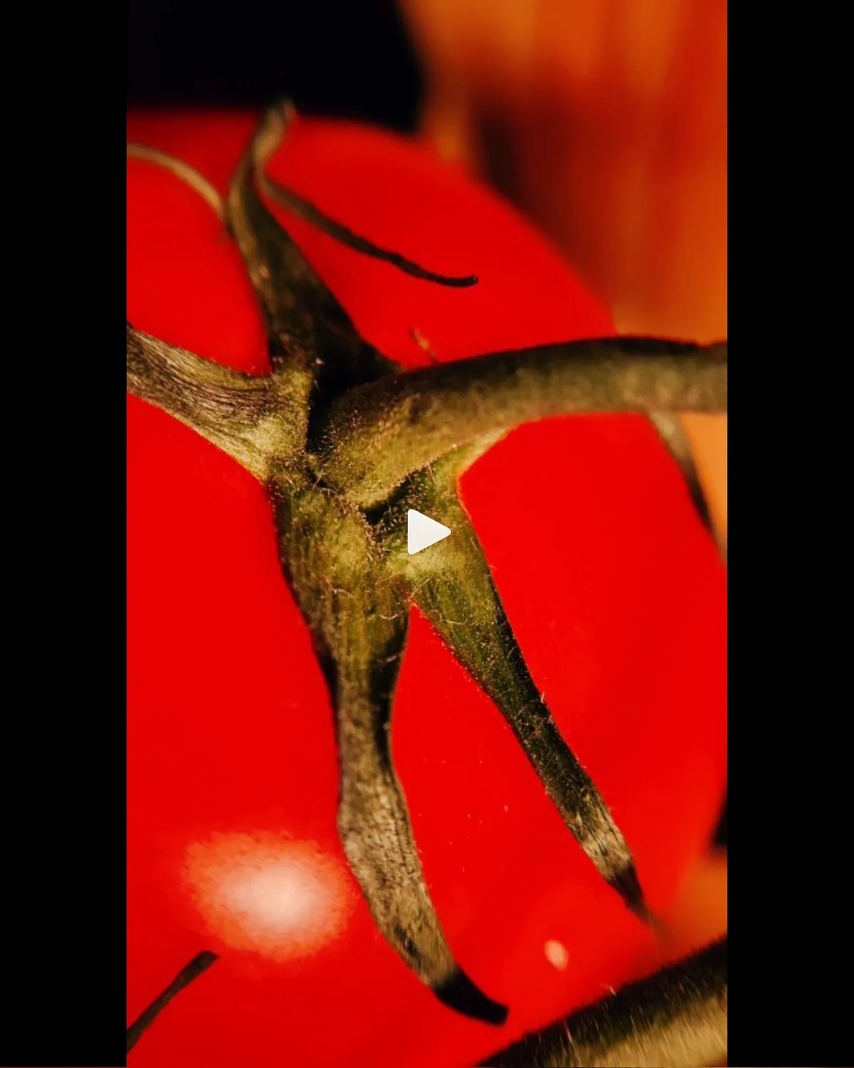 Macro Food Photography Reel - Social media content by Aleksandra Cezayirli