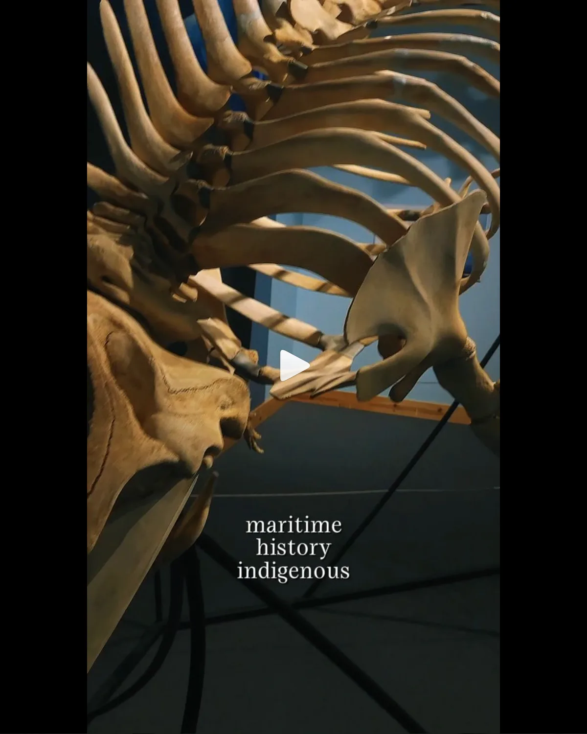 Piggie — Maritime Museum UGC - Social media content by Aleksandra Cezayirli